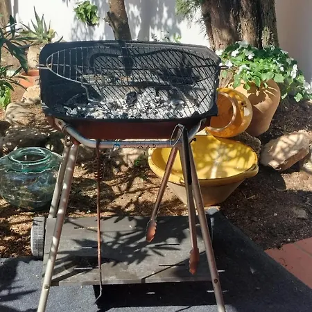 El Patio * Darnius