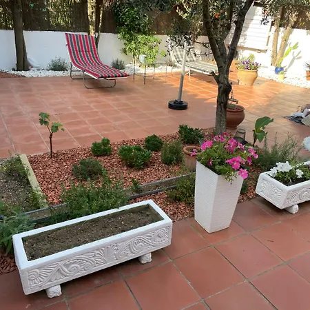 El Patio * Darnius