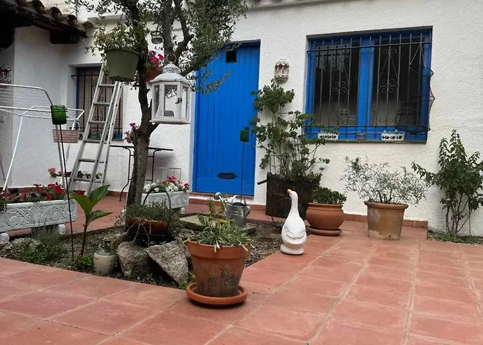 El Patio * Darnius
